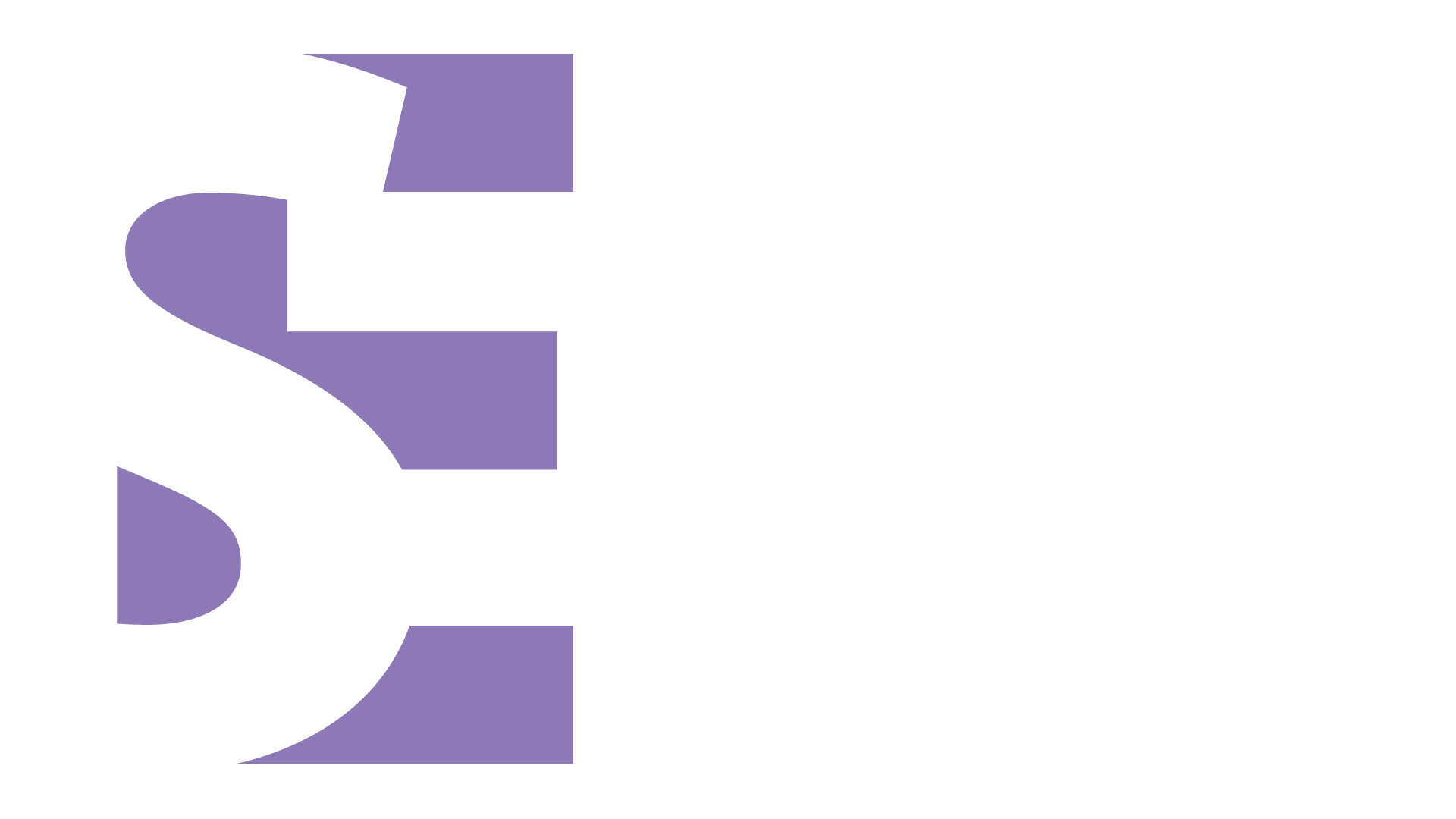 SE NET IT AG